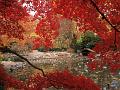 Lithia Park in Autumn, Ashland, Oregon